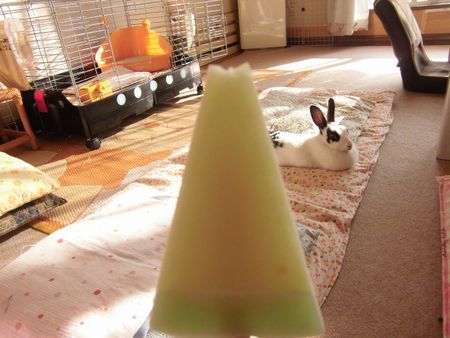 c0235399_2034502.jpg