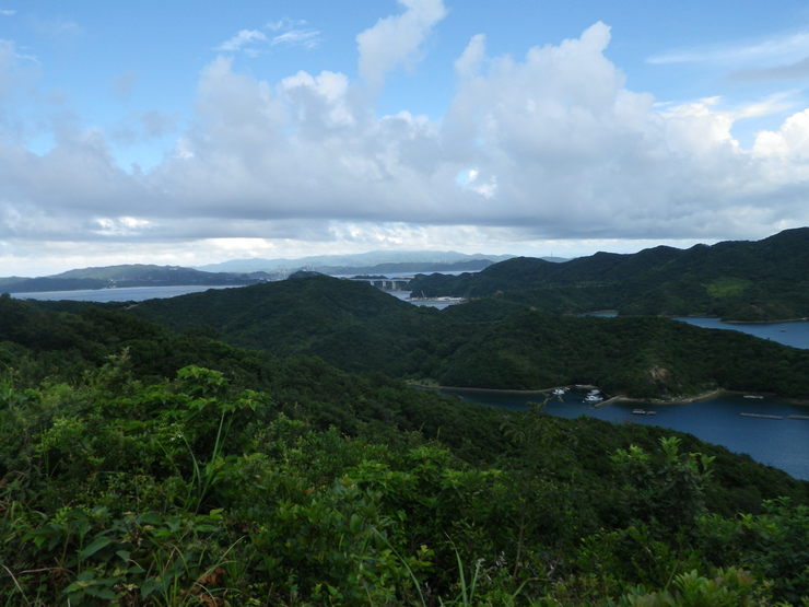 小鳴門橋　蒲生田岬_e0135400_12542023.jpg