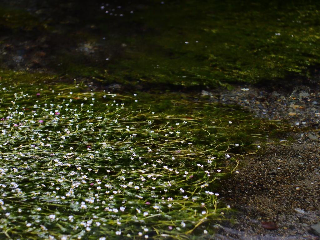 b0138101_23201356.jpg