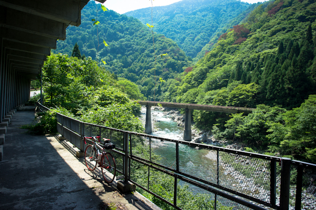 c0005102_237492.jpg
