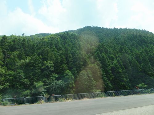 f0120102_16383256.jpg