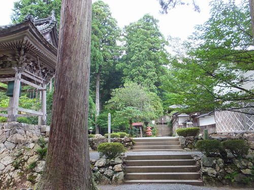 「小浜寺社めぐり」#2:明通寺_f0120102_6215047.jpg