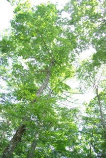 e0197503_13443864.jpg