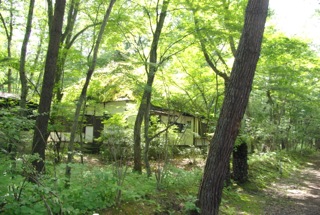 e0197503_13581760.jpg
