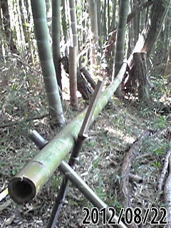 e0270403_19541915.jpg
