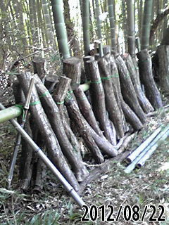 e0270403_1955643.jpg