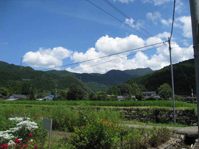c0109904_11792.jpg