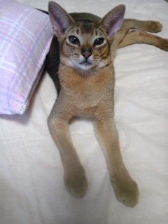 少し_e0033609_10371976.jpg