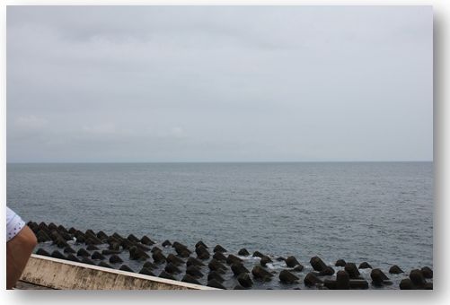 広野海岸公園で・・・しんちゃん、又来るね☆_a0161111_235272.jpg