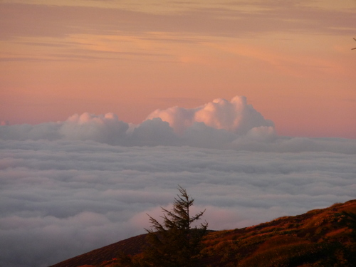 b0087914_20223714.jpg