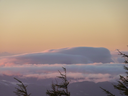 b0087914_2023220.jpg