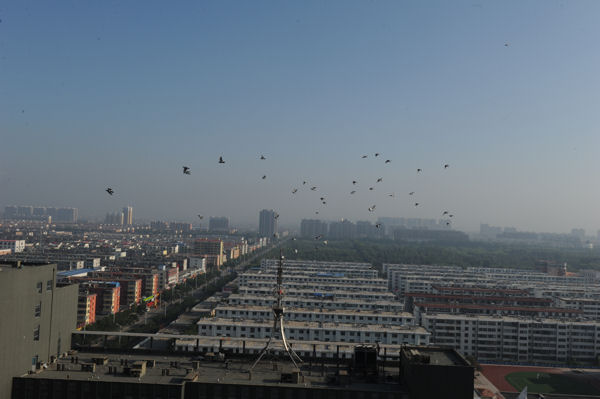 e0126914_23162164.jpg