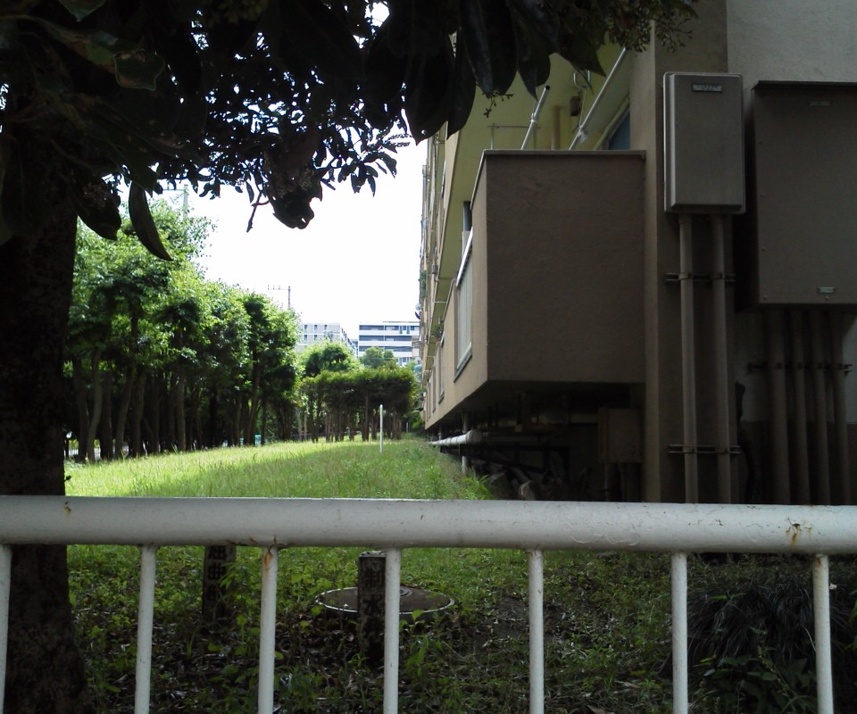 e0218019_1391539.jpg