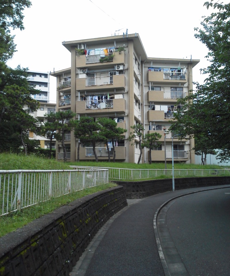 e0218019_20455.jpg
