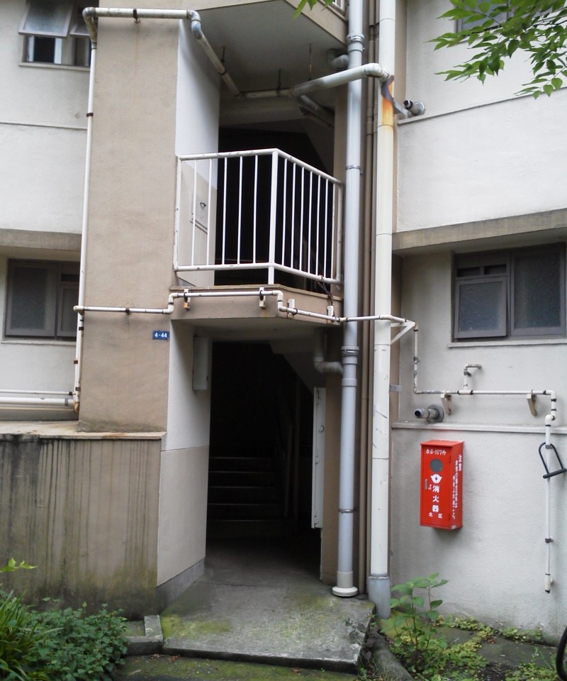 e0218019_253555.jpg