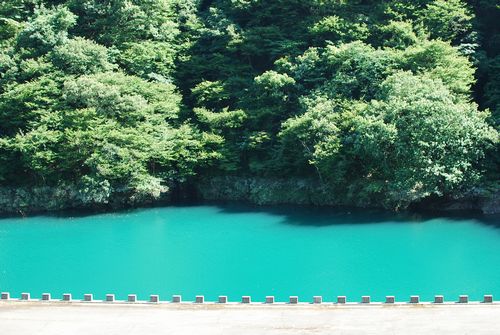 夏のおでかけ宮ヶ瀬湖～ダムサイト編～_f0214121_21422351.jpg