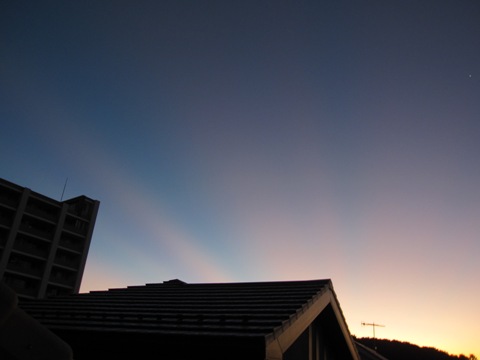 a0010225_12321360.jpg