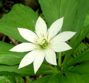 f0207325_93139.jpg