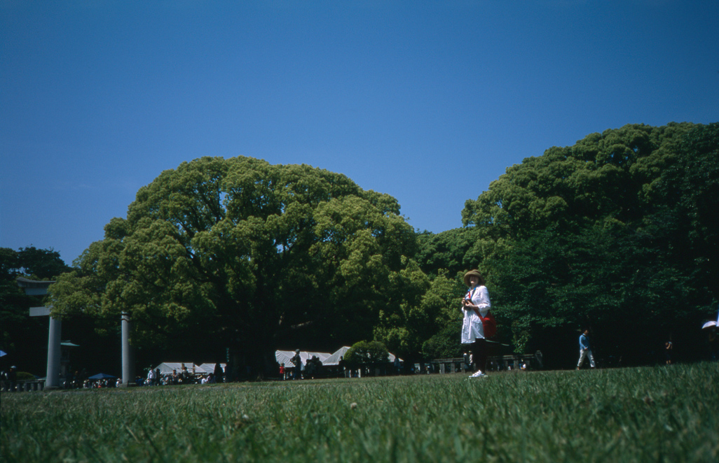 遅めの夏休み_c0226326_1336838.jpg