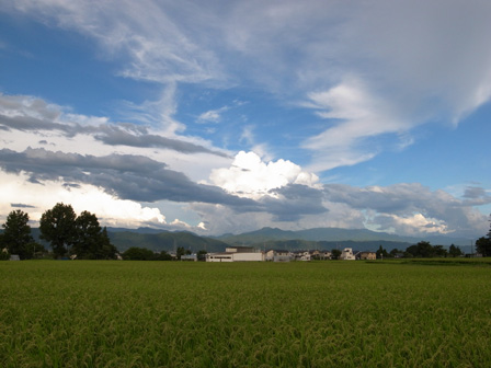 a0014840_22335825.jpg