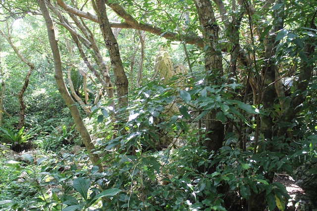 d0222641_95149.jpg