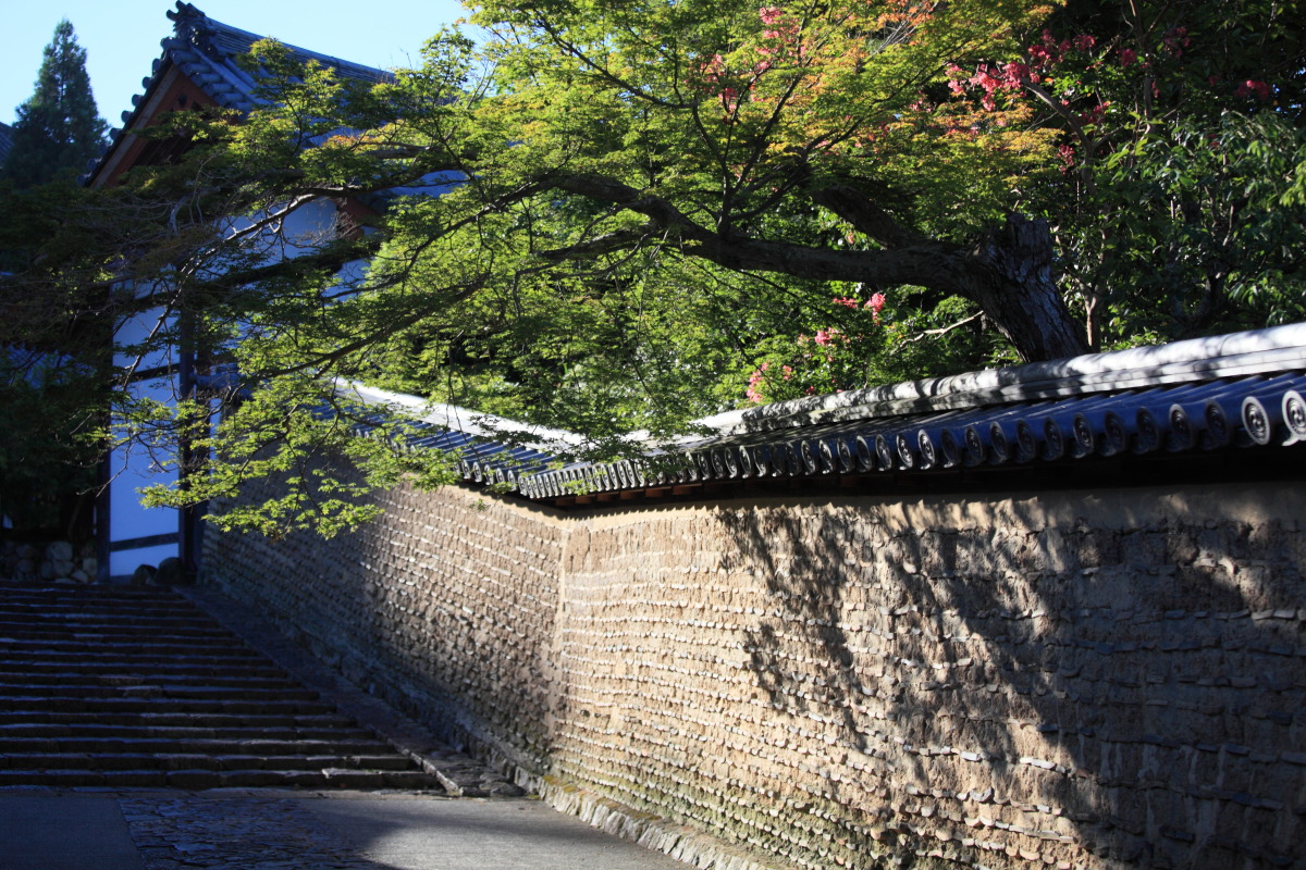 １３００年の歴史を感じる古都奈良　～春日大社・二月堂～_d0135242_21351269.jpg