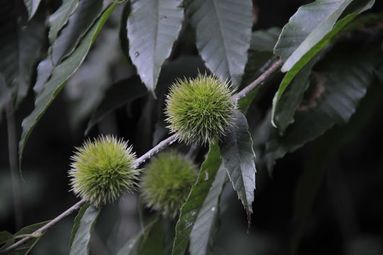 c0093046_17204571.jpg