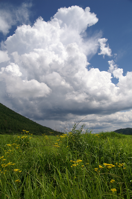f0214649_1714189.jpg