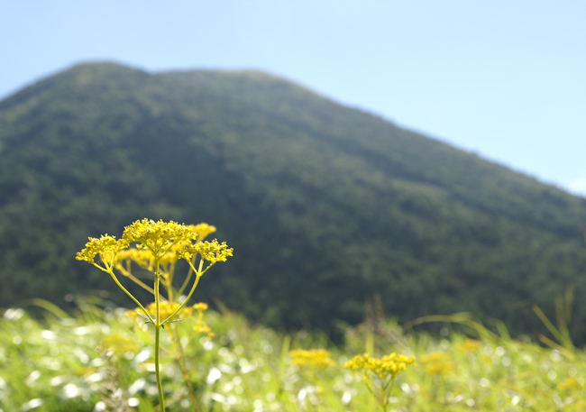 暑かった三瓶山①_f0214649_483267.jpg