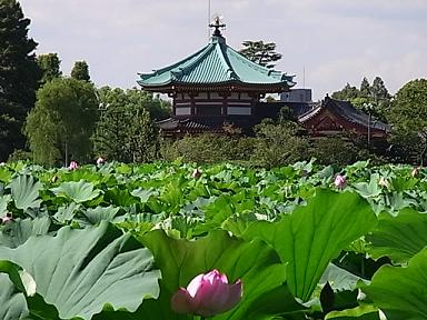 夏休み_d0236253_1611319.jpg