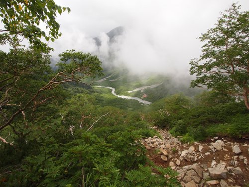 c0236857_7492028.jpg