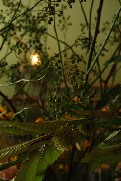 a0201358_18163719.jpg