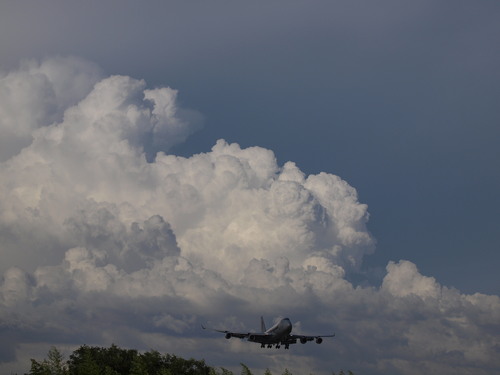 b0258965_19465627.jpg