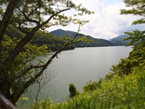 長良川について。_b0224969_20571730.jpg