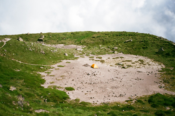 a0207672_1111686.jpg