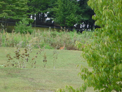 f0200477_22345559.jpg