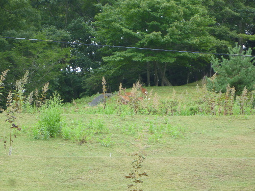 f0200477_22363573.jpg