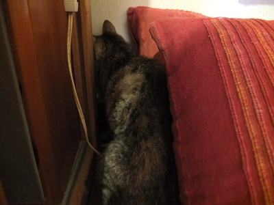 DAY OFF:はさまる_a0180681_4191840.jpg