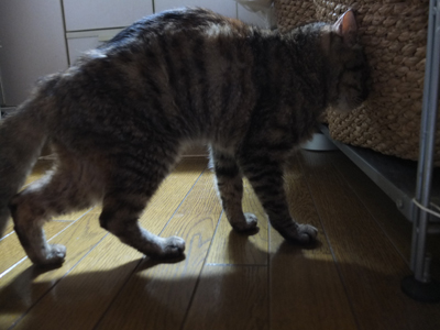 DAY OFF:はさまる_a0180681_4192126.jpg
