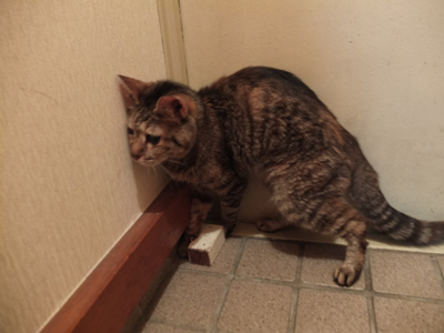 DAY OFF:はさまる_a0180681_419268.jpg