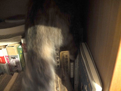 DAY OFF:はさまる_a0180681_4192925.jpg