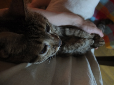DAY OFF:はさまる_a0180681_4193255.jpg