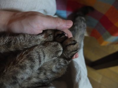 DAY OFF:はさまる_a0180681_4521565.jpg