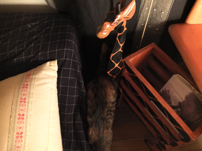 DAY OFF:はさまる_a0180681_52390.jpg