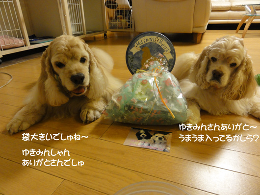 f0218182_11133610.jpg