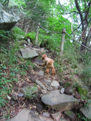 e0227996_01755.jpg