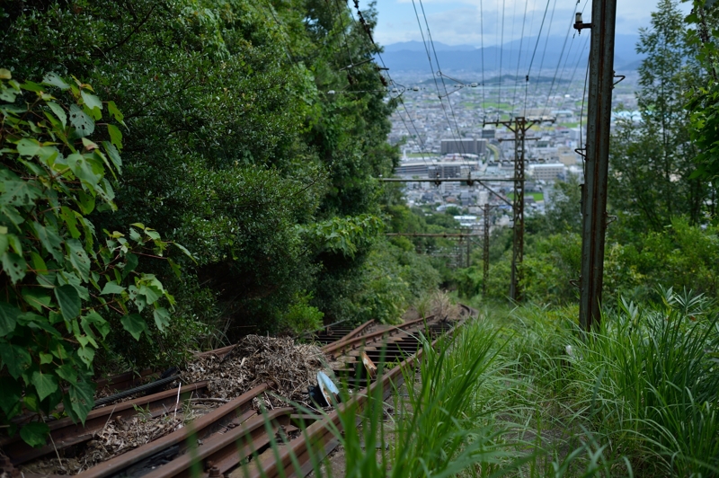 d0264503_7452969.jpg