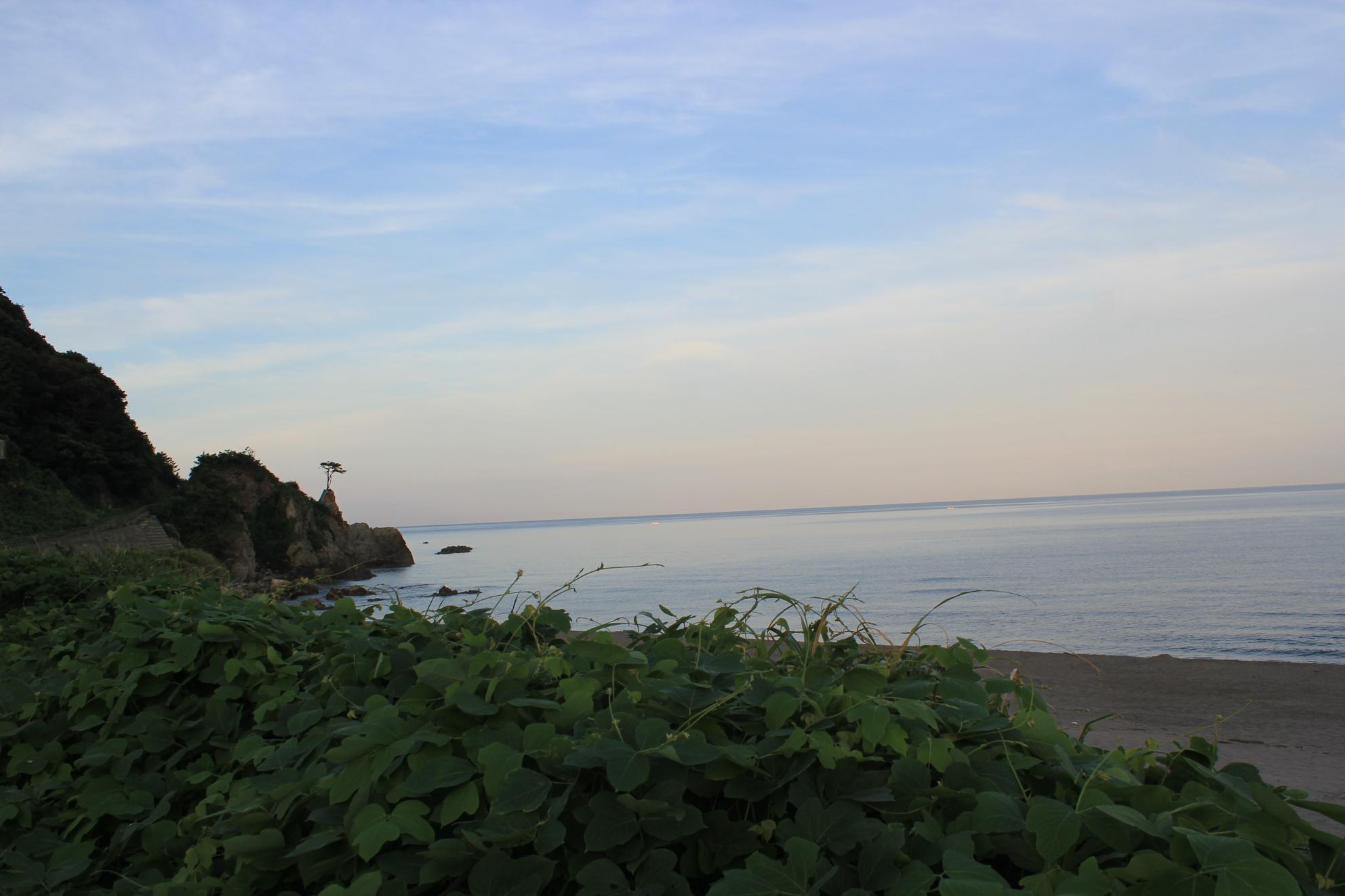 a0264604_7321562.jpg