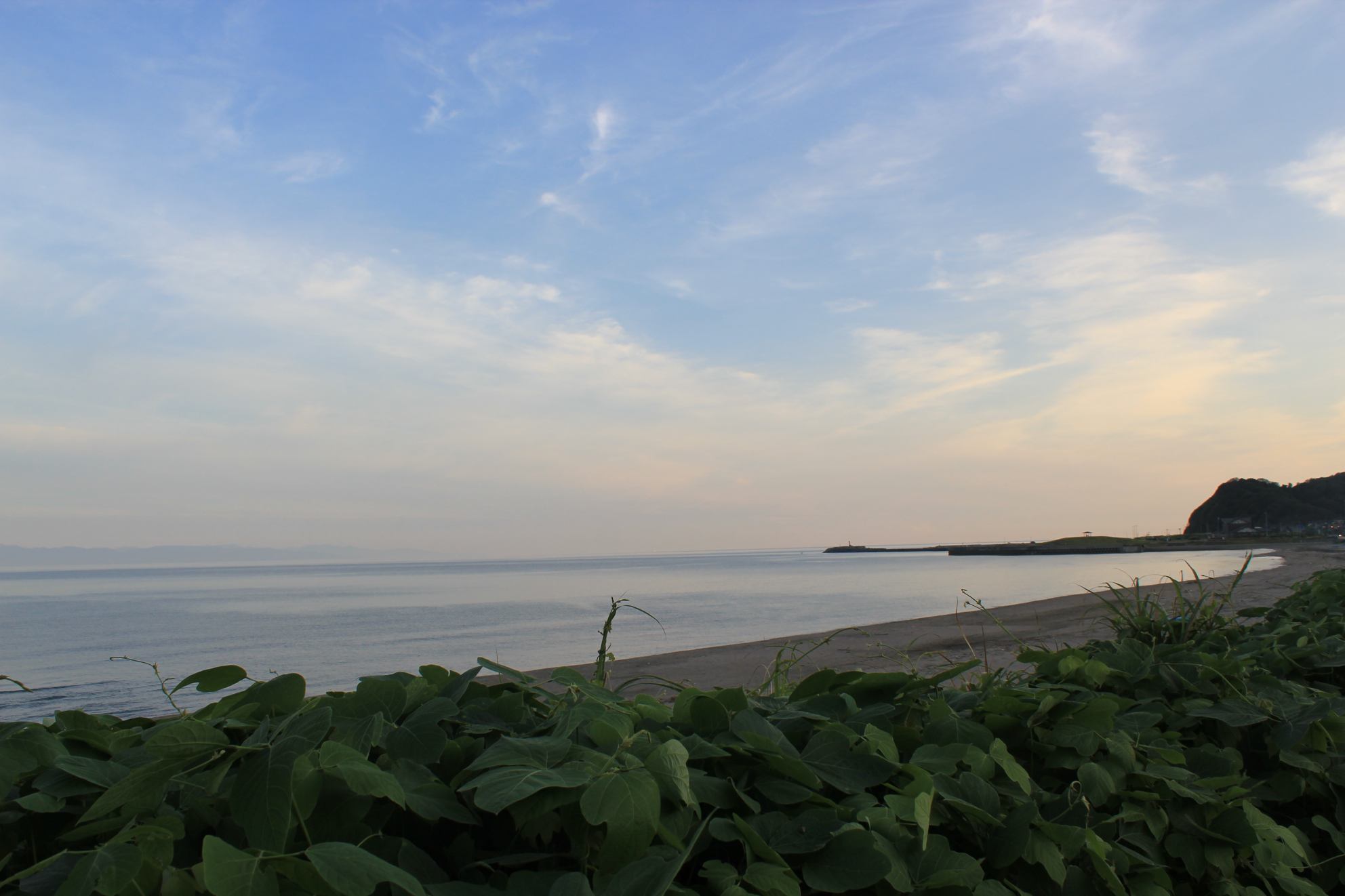 a0264604_732305.jpg