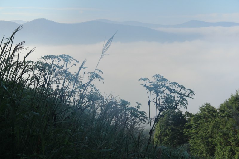 高座山の秋景色_a0188405_341375.jpg